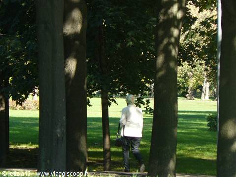 Walk in the greenery