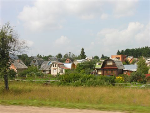 Wooden countryside houses among tall grass and trees, cloudy sky