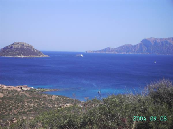 WHAT A VIEW