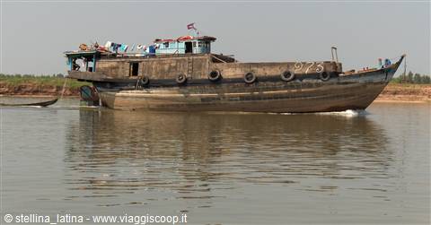 the Mekong delta