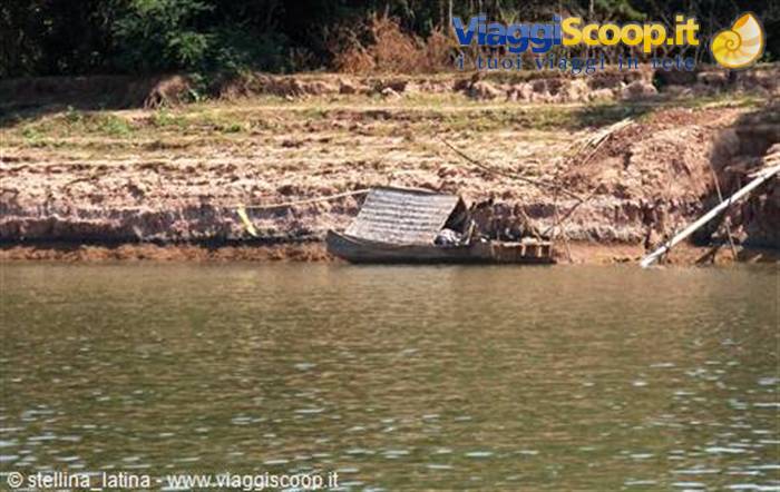 the Mekong delta