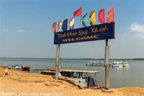 the Mekong delta