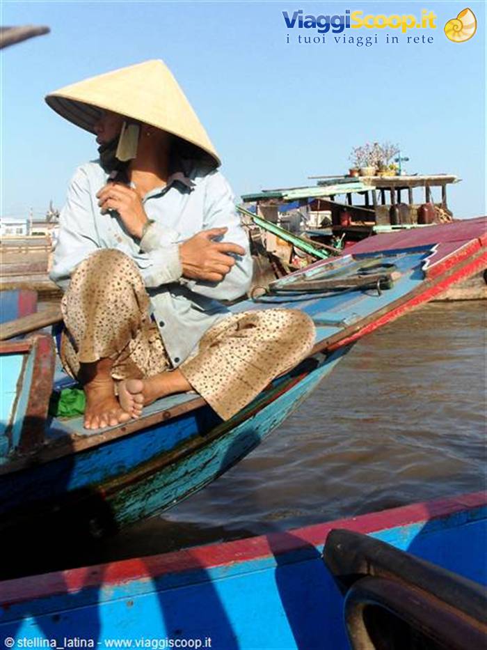 the Mekong delta