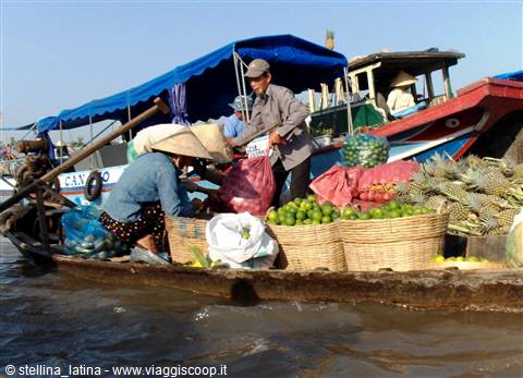 the Mekong delta
