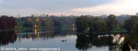 Swans glide on the lake at dusk among autumn trees and lit lamps