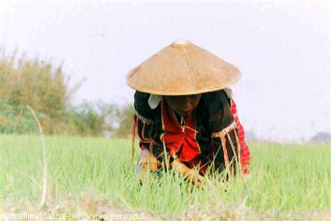 Kengtung: Silver Palou woman