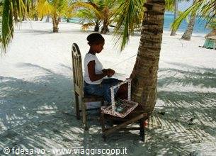 saona: renewable source: female arms