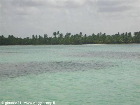 natural pools