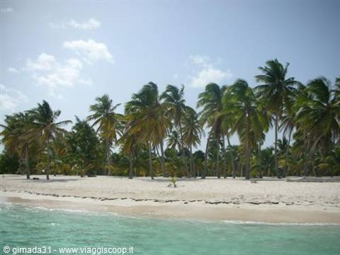 saona again