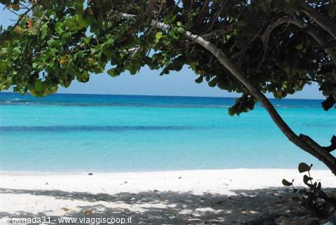Saona - Canto della playa
