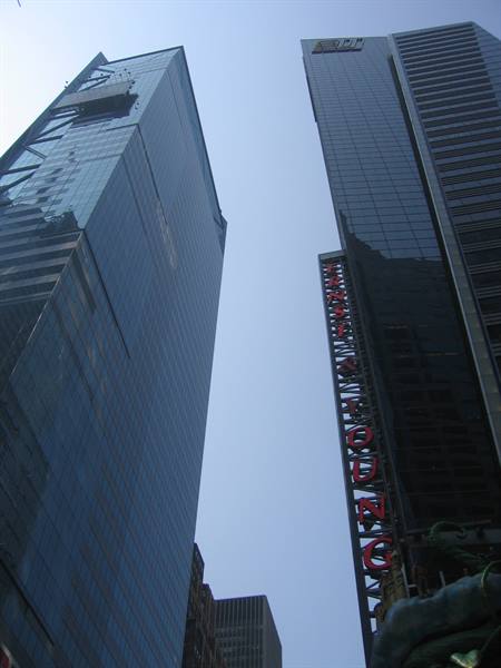 Glass skyscrapers with vertical red Hilton Times Square sign under clear sky