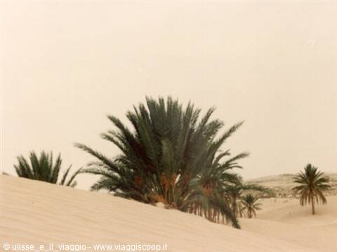 Sahara Desert