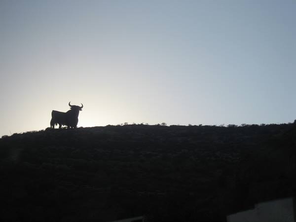 Osborne bull billboard silhouetted on a hillside at dusk