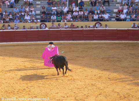 Bullfight 3