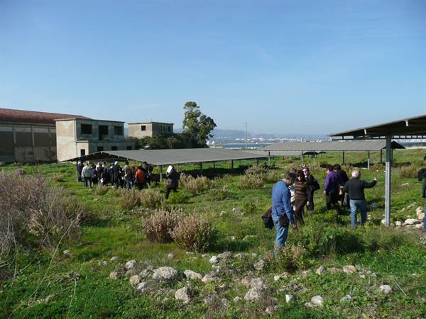 THAPSOS