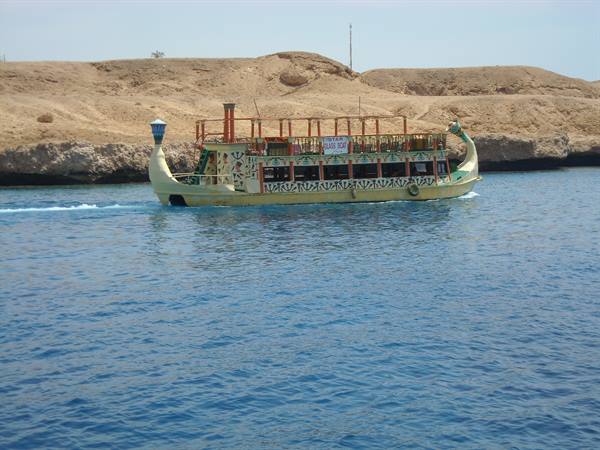excursions with fish viewing