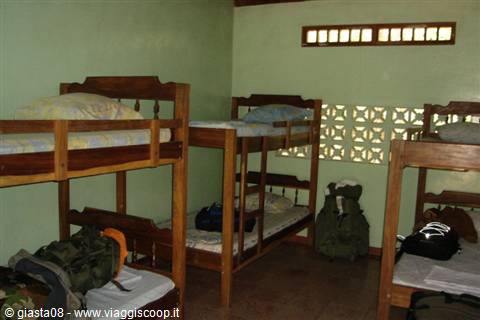 beds in the reserve