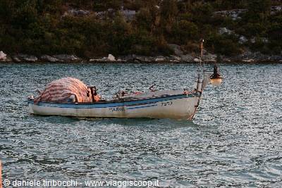 Wooden fishing boat covered with tarpaulin floating on green water near the shore