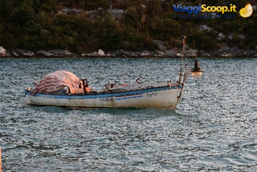 Wooden fishing boat covered with tarpaulin floating on green water near the shore