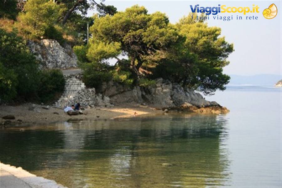 Pine trees on rocky shore beside small sandy beach and calm sea
