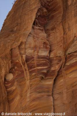 PETRA THE SIQ