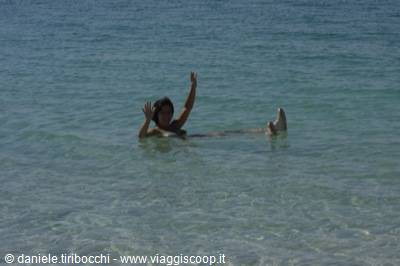 ELISABETTA FLOATING