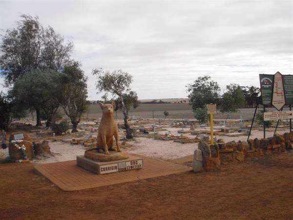 Dogs' cemetery