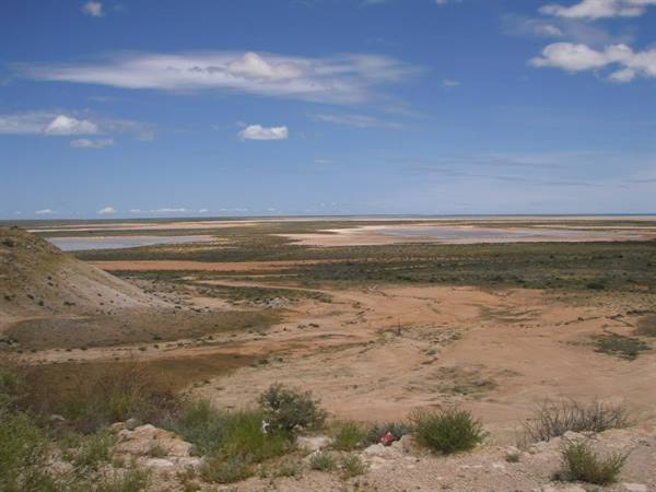 sandy desert with shrubs before white salt flats and water under blue sky