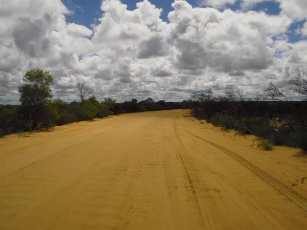 Red sandy dirt road between shrubs, puffy clouds in blue sky