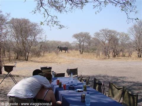 Tourists at a camping picnic table, an elephant walks among dry trees