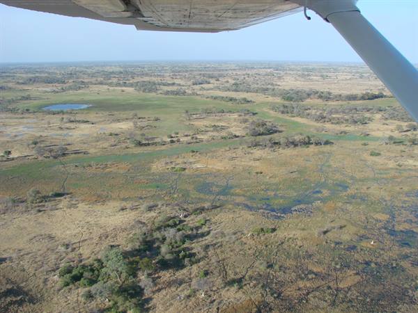 Aircraft wing over Okavango Delta wetlands and savanna