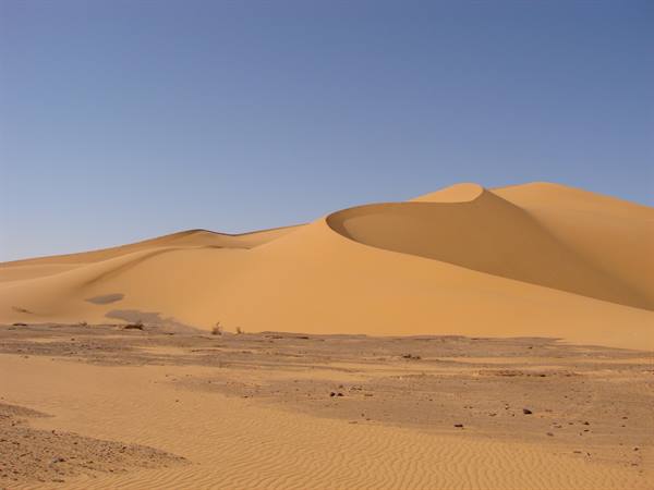 Large golden sand dunes in the desert under a clear blue sky