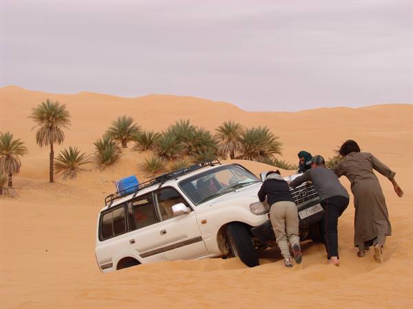 Four people push a Toyota 4x4 stuck in sand among palm trees