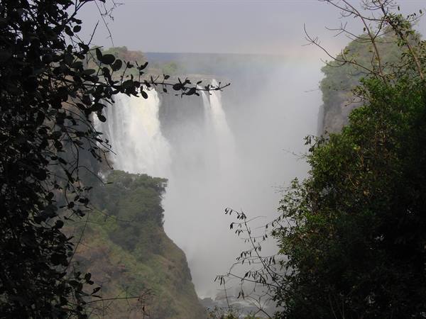 Victoria Falls: powerful waterfalls plunging into mist with rainbow, framed by green branches
