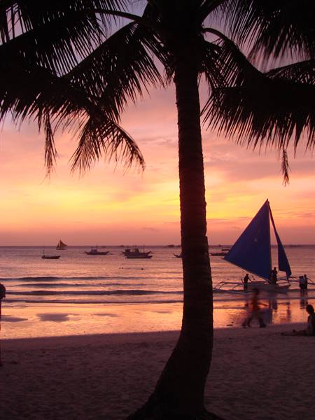 Palm tree silhouette over sandy beach, blue sailboat and boats offshore at dusk
