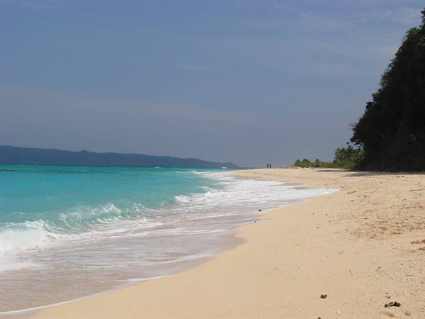 puka shell