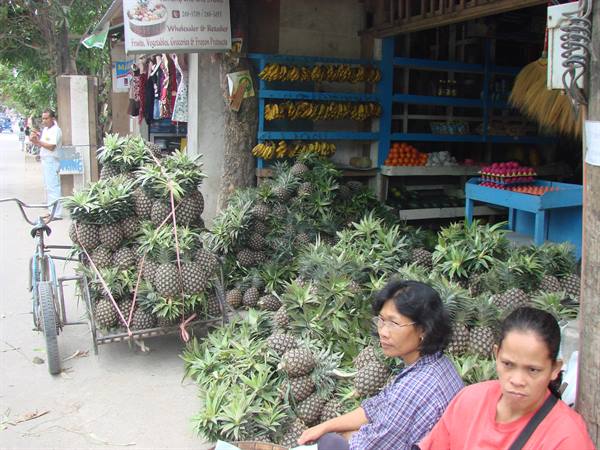 Women selling fresh pineapples piled in front of the fruit shop