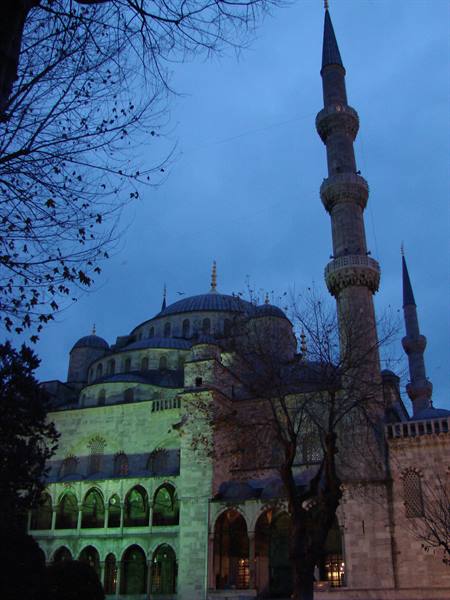 The Blue Mosque minaret in Istanbul at dusk among bare branches