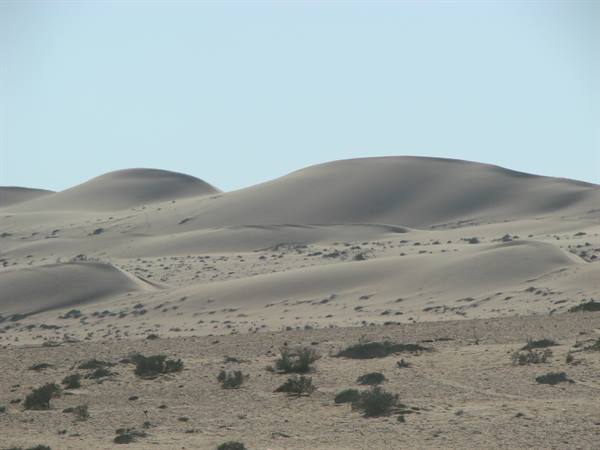 Wind-smoothed sand dunes, scattered shrubs below, harsh daylight