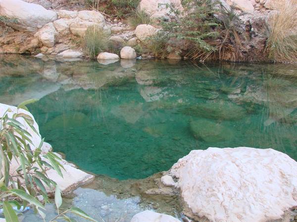 Turquoise pool between pale boulders and green shrubs in the wadi