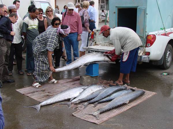 Two men weigh a large fish at the fish market as tourists watch