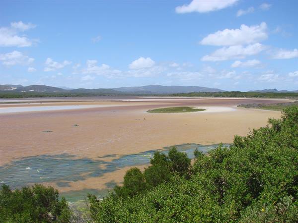 Pink salt lagoon with green shallows, bushes and distant hills