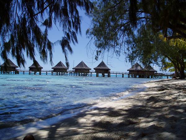 Wooden stilt bungalows over turquoise water, sandy beach and shading branches