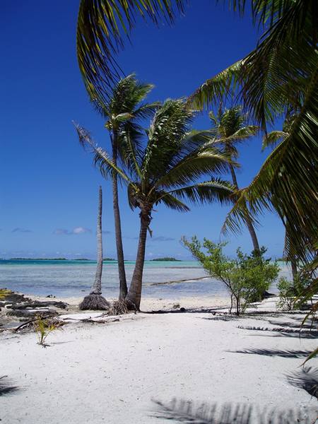 motu on the blue lagoon of Rangiroa