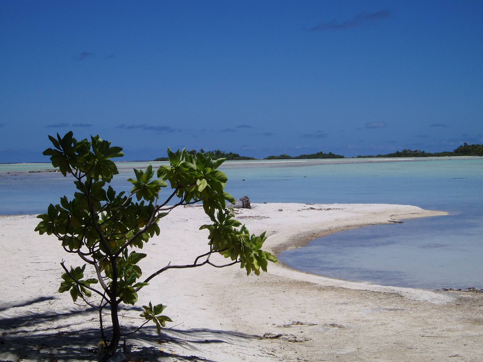 blue lagoon
