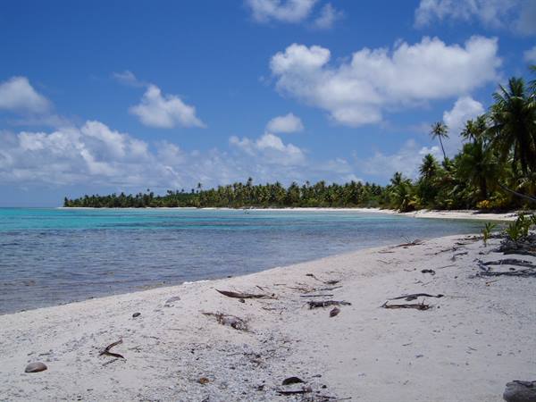 White sand beach with driftwood and palms, turquoise lagoon under white clouds