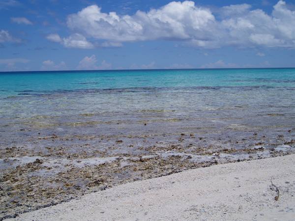 white sand beach with coral reef and turquoise sea under white clouds
