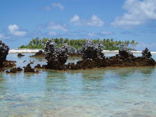 Black coral rocks in turquoise water, palm island in the background