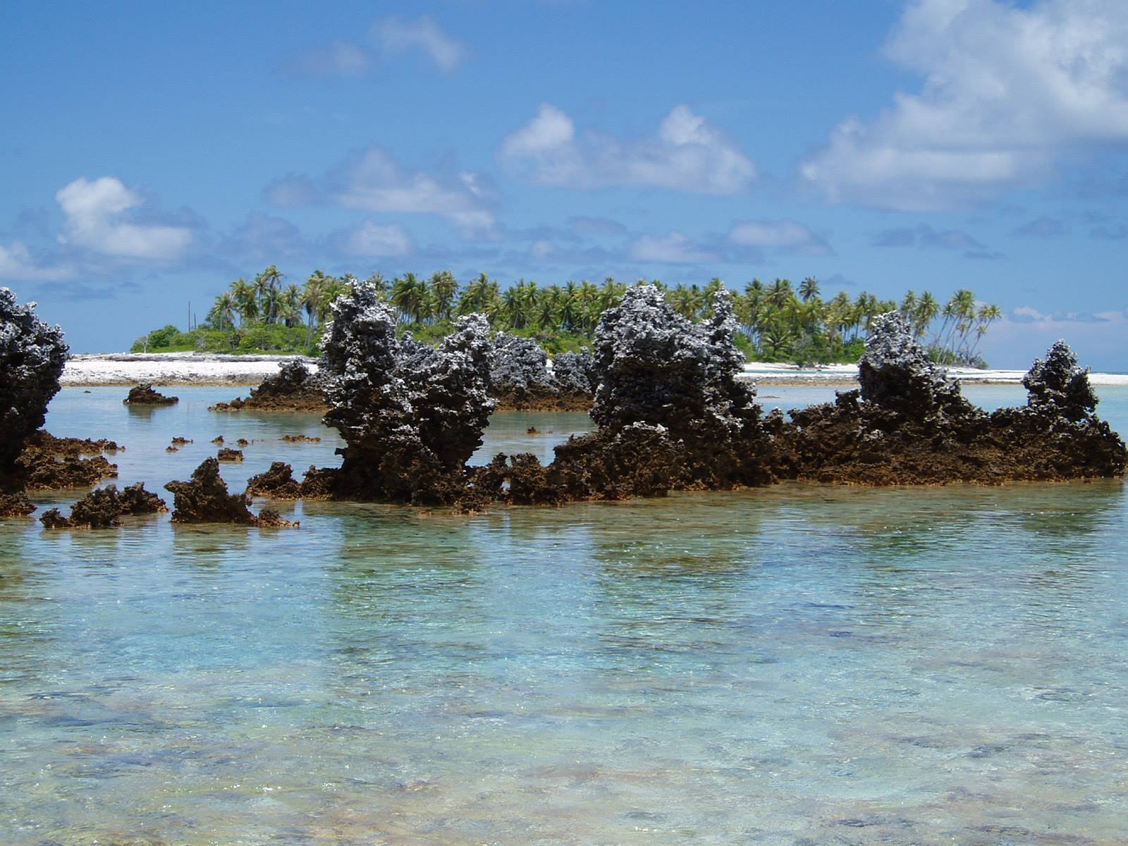 Black coral rocks in turquoise water, palm island in the background
