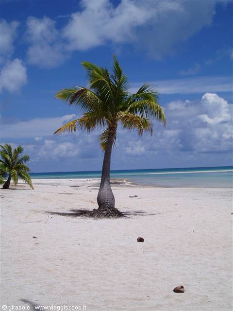 stretch of beach at Tikehau